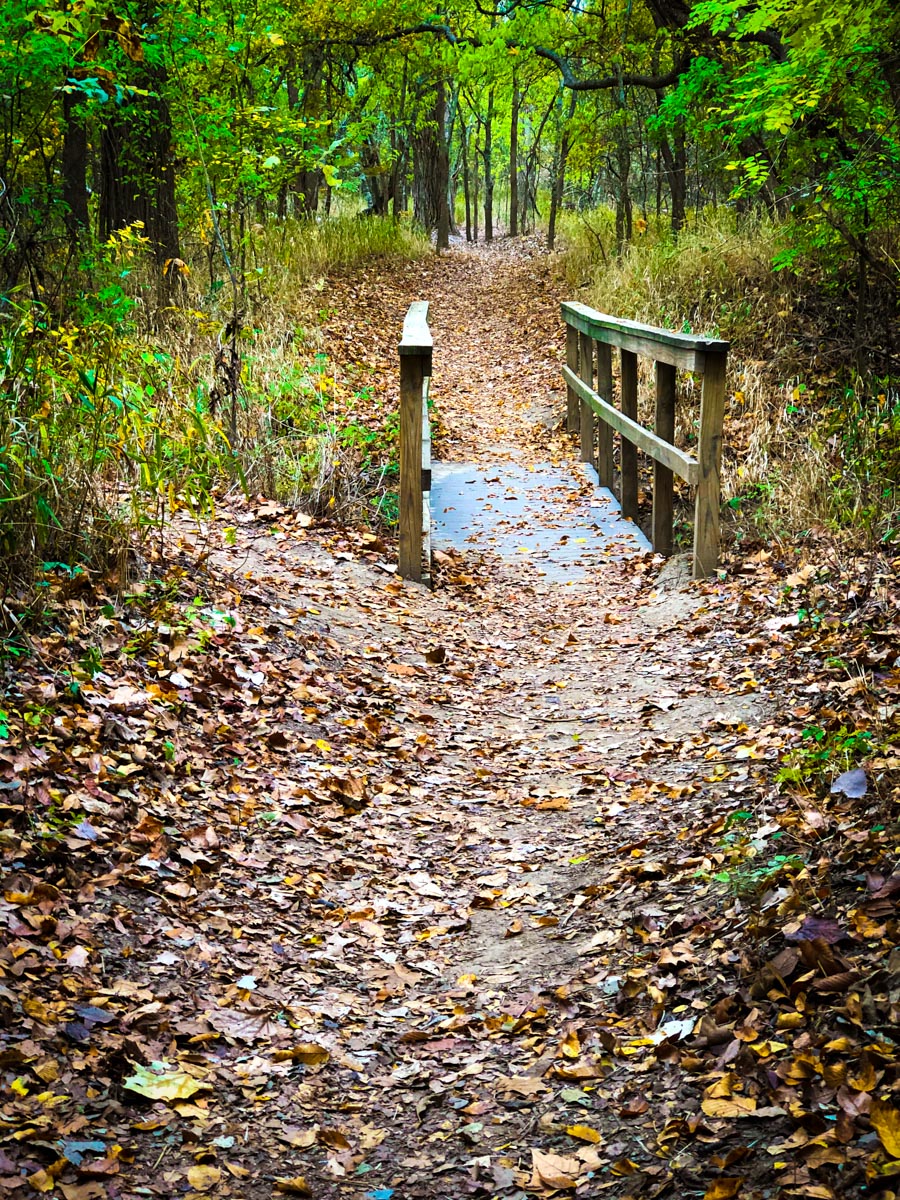 Photography in the Lost Pines of Texas